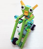 Кот на велосипеде