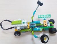 Илистый прыгун